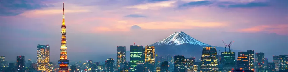 Skyline of Tokyo, Japan at sunset